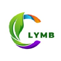 Clymb Business Solutions logo - Similar company to Magnify Success