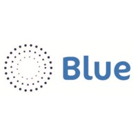 Blue Networks logo - Similar company to Blu Network Limited