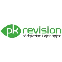 PK Revision Statsautoriseret Revisionsanpartsselskab logo - Similar company to Swann Studio