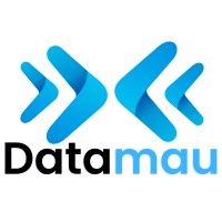 Datamau logo - Similar company to Data Wizard Club