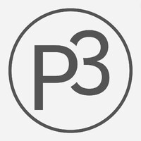 Purpose + Performance Project logo - Similar company to Nexgen Data Consultants