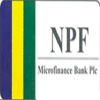 NPF MICROFINANCE BANK PLC logo - Similar company to Alpha10 Group