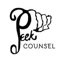 Peek Counsel, LLC logo - Similar company to Blink Equity