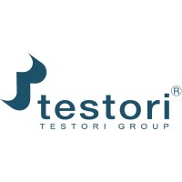 Testori Spa logo - Similar company to Testori Group