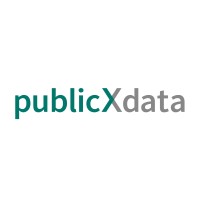 publicXdata AG logo - Similar company to Pritz It Gmbh