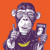 Darwin's Game logo - Similar company to Lefor & Oberbauer Gmbh