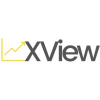 Xview-BI logo - Similar company to Xview