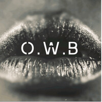 O.W.B Public Affairs logo - Similar company to User Onboarding X