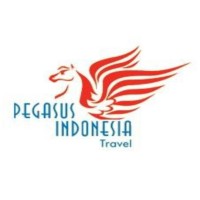 Pegasus Indonesia Travel logo - Similar company to Next Studio