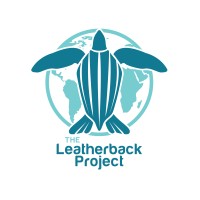 The Leatherback Project logo - Similar company to Turtle Omg