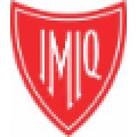 Instituto Mexicano De Ingenieria Quimica (Imiq)
