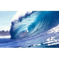The Pipeline
