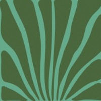 Olónà Estúdio Criativo logo - Similar company to Escola De Emergência | Mover Educação