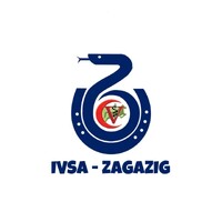 IVSA - Zagazig logo - Similar company to Ivsa Damanhour