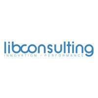 Lib Consulting logo - Similar company to Extra Solution