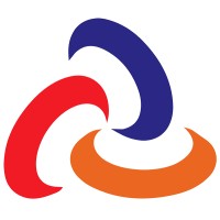 TPG International and Domestic Express logo - Similar company to Tnt Iran