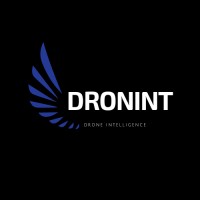 Dronint logo - Similar company to Robosurvey