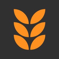 Distilld logo - Similar company to Ditectrev
