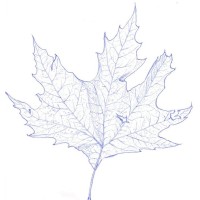 Çınar Yazılım ve Danışmanlık logo - Similar company to Biber Ltd.