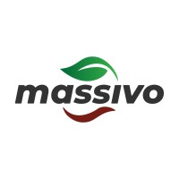 Massivo Corp logo - Similar company to G.Network