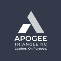Apogee Triangle logo - Similar company to Apogee Cedar Park