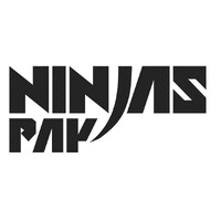 NINJAS PAY logo - Similar company to Icybit