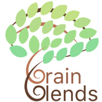 BrainBlends logo - Similar company to Hbw Solutions, Inc.
