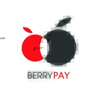 BerryPay Official logo - Similar company to Raffcomm