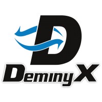 DeminyX InfoTec logo - Similar company to Soutech Solutions