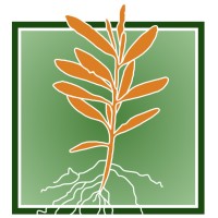 Tāne’s Tree Trust logo - Similar company to Lemonface Creative