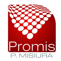 Promis P. Misiura Sp. J. logo - Similar company to Grent