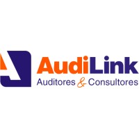Audilink Internacional - Consultores E Auditores