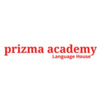 Prizma Academy logo - Similar company to Krutao