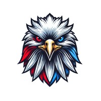 EagleEye MSP logo - Similar company to Eagleeye Solutions