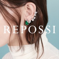 REPOSSI logo - Similar company to Tald