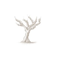 The Old Vine Conference logo - Similar company to Bowden Cellars