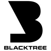 BlackTree logo - Similar company to Alpha 56