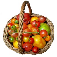 Azienda Agricola Mercuri Francesca logo - Similar company to Se.Com. Group Spa