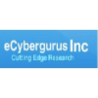 eCybergurus Inc logo - Similar company to Private Venture