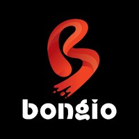 Bongio Information Technology logo - Similar company to Ai Xperts Hub