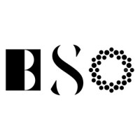 Brooklyn Symphony Orchestra Corporation logo - Similar company to Northern Dutchess Symphony Orchestra