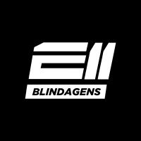 E11 Blindagens logo - Similar company to Waldysoft
