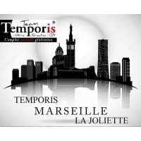 Temporis Marseille La Joliette logo - Similar company to Camitec