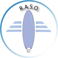 Regional Aviation Security Organization logo - Similar company to Pas Trinidad Limited