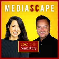 Mediascape: Insights From Digital Changemakers