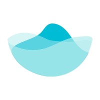 Squid Ocean logo - Similar company to Lilium Info Tech