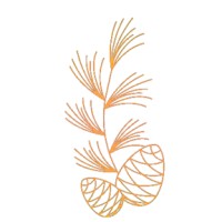 राजि-ख़ुशी -The Law and Happiness Office logo - Similar company to Alphaleads