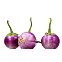 Good Food Partners logo - Similar company to Parwan Valley Mushrooms