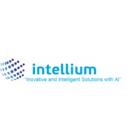 Intellium logo - Similar company to Tibula Consulting