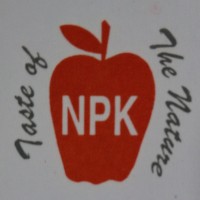 NPK FRUITS IMPORT & EXPORT logo - Similar company to Ayoub'S Dried Fruits & Nuts